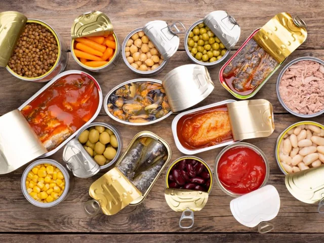 خط تولید کنسرو خورشت